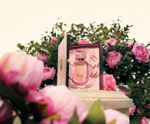 Victoria's Secret Bombshell Limited Edition Boxes Victoria's Secret Bombshell Limited Edition Boxes