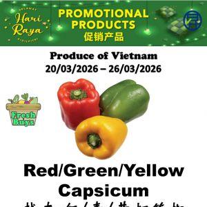 Sheng Siong Hari Raya Promotion: Fresh Vegetables & Fruits Deals (20 - 26 March 2026)
