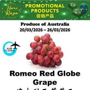 Sheng Siong Hari Raya Fresh Buys: Fresh Fruits Special (20 - 26 March 2026)